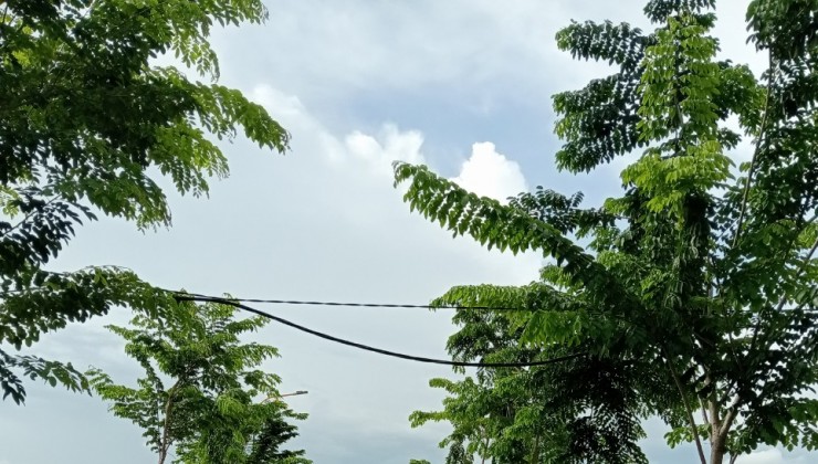 Bán đất hòa lợi, bến cát, bình dương
Hotline : 0949 866 116
Đất hòa lợi diện tích 80m2  thổ cư 100%